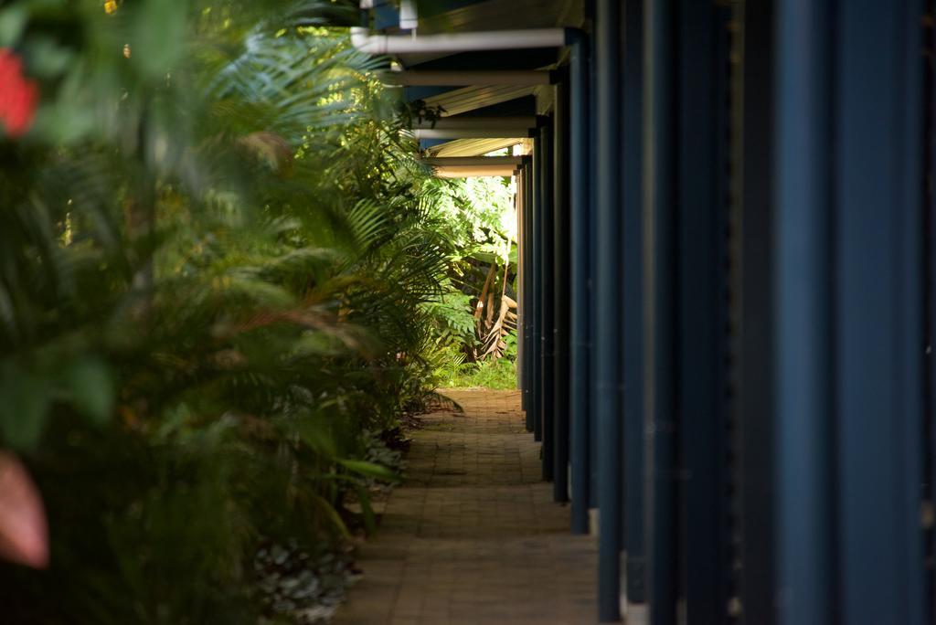 Lazy Lizard Motor Inn Port Douglas Luaran gambar