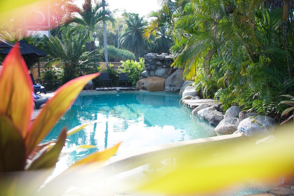 Lazy Lizard Motor Inn Port Douglas Luaran gambar