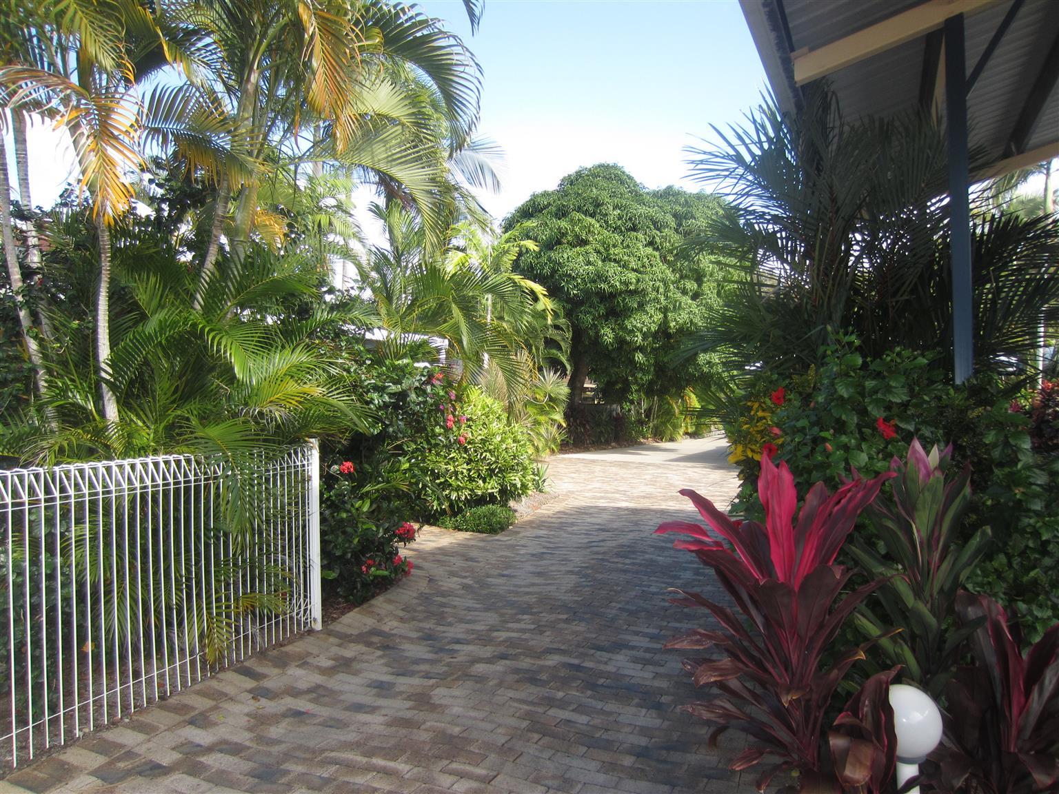 Lazy Lizard Motor Inn Port Douglas Luaran gambar
