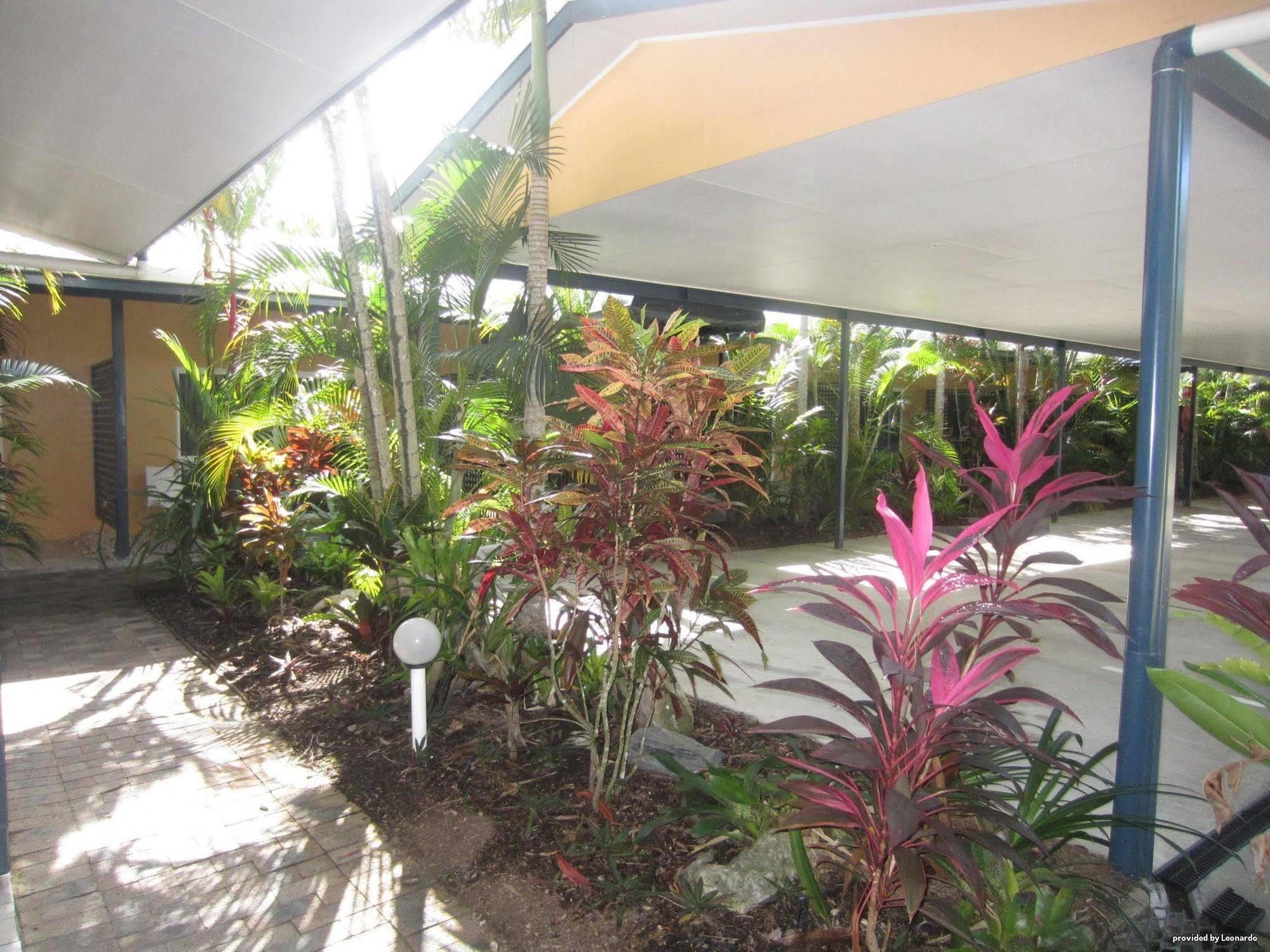 Lazy Lizard Motor Inn Port Douglas Luaran gambar